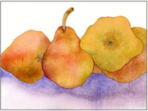 watercolor still life of ripe pears