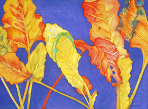 Rainbow chard on a periwinkle blue background