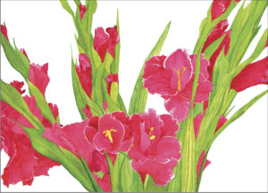 A Watercolor of a spray of deep rose gladiolas with bright green foliage