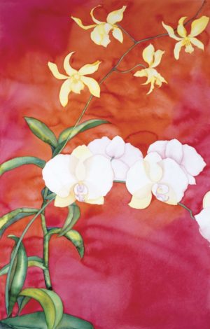 Watercolor of white and yellow orchids on a red and deep rose background