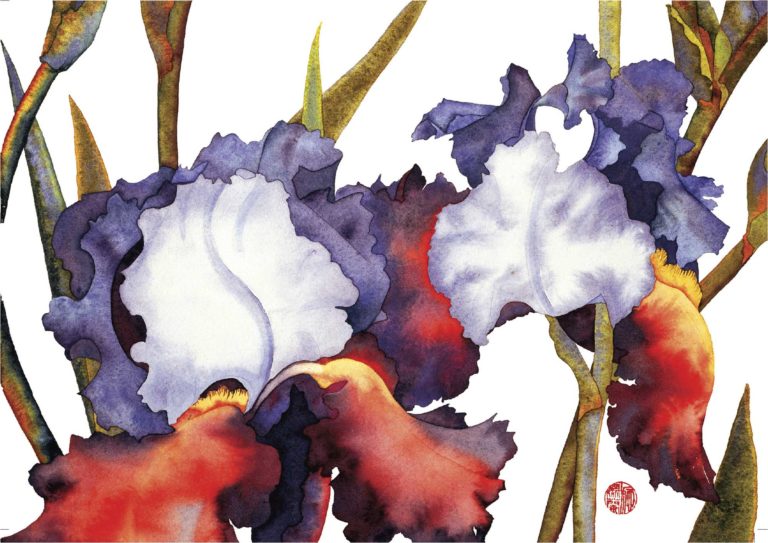 Floral watercolor of two multicolored irises