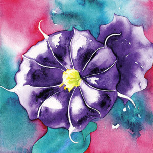 Purple datura in a turquoise and magenta background