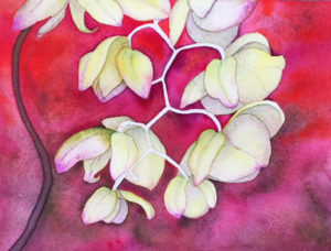 Watercolor of pale greenish-white spray of phalaenopsis orchids