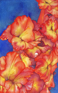 Watercolor ofcarlet gladiolas on a deep blue background