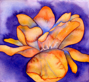 Watercolor of single apricot colored blossom on a periwinkle purple background