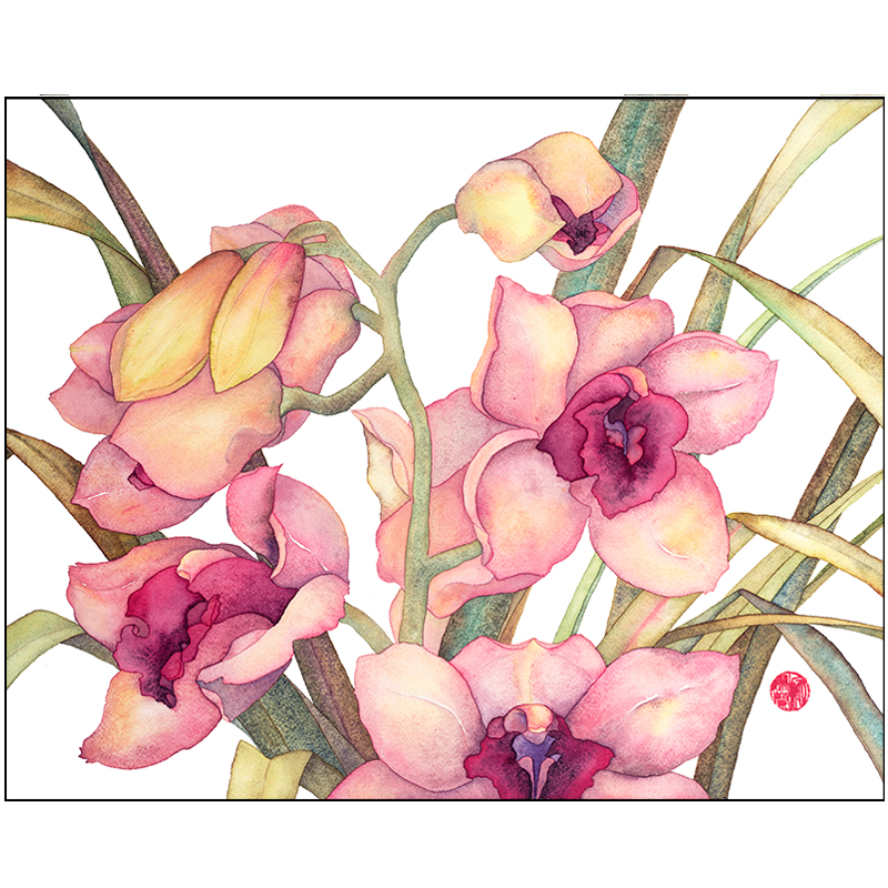 Castaway Cymbidium Ltd. Ed. Print Framed SARA STEELE