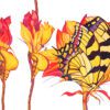 Metamorphogenesis Nascimiento Ltd. Ed. (14 x 20) - Image 2